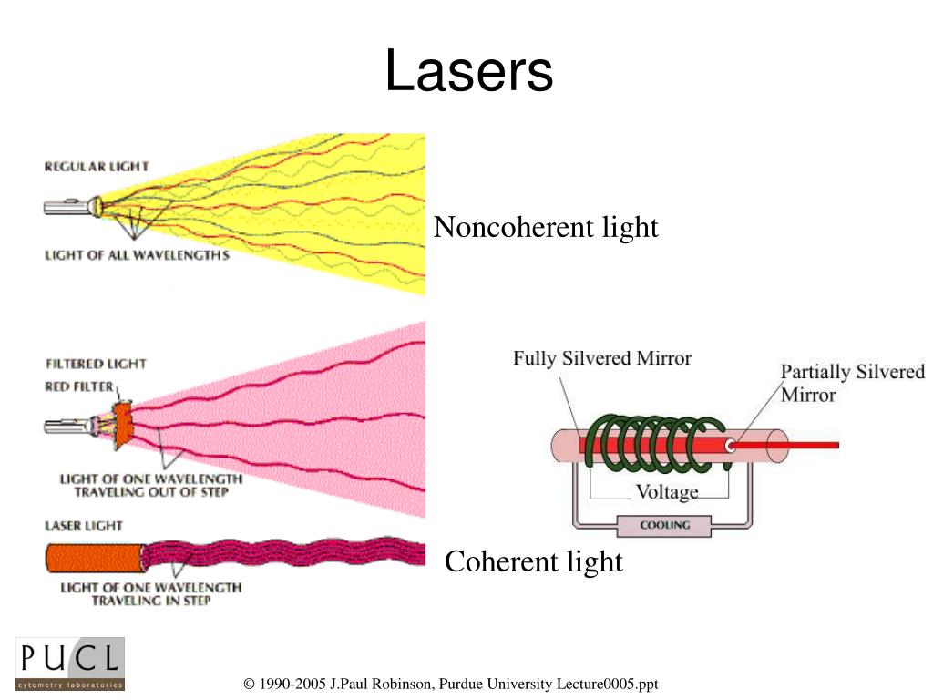 PPT BMS 631 Lecture 5 Properties and Applications of Light Sources