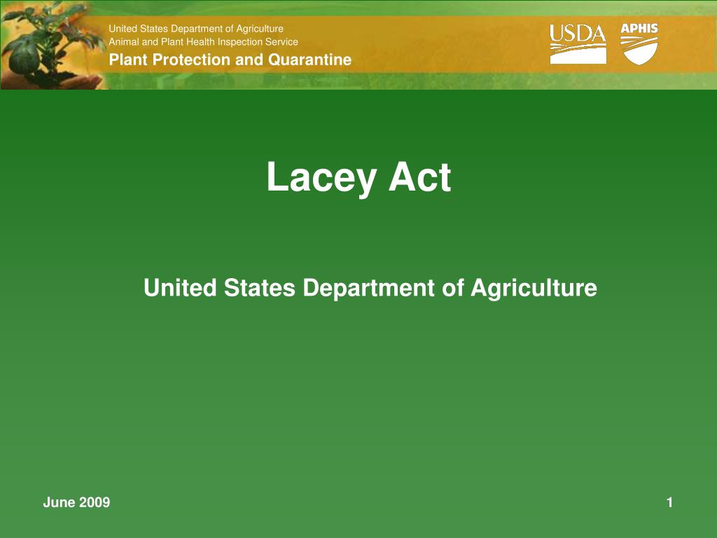 PPT Lacey Act PowerPoint Presentation, free download ID1059577