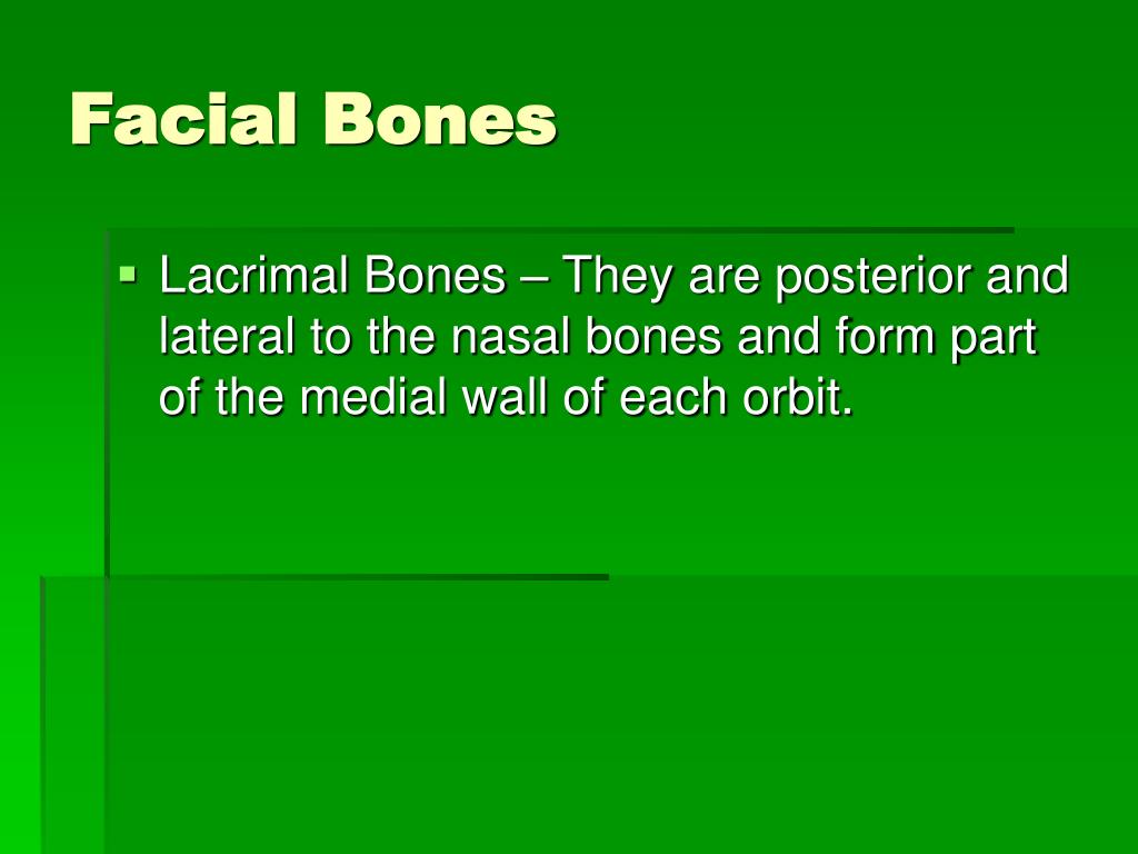 PPT Axial Skeleton PowerPoint Presentation, free download ID1064382