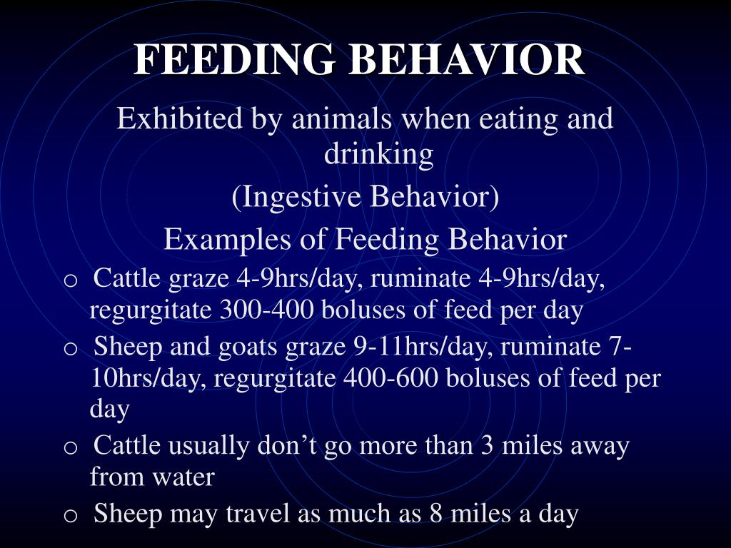 PPT ANIMAL BEHAVIOR PowerPoint Presentation, free download ID106583