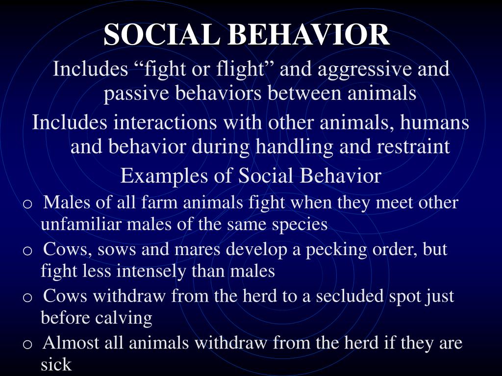 PPT ANIMAL BEHAVIOR PowerPoint Presentation, free download ID106583