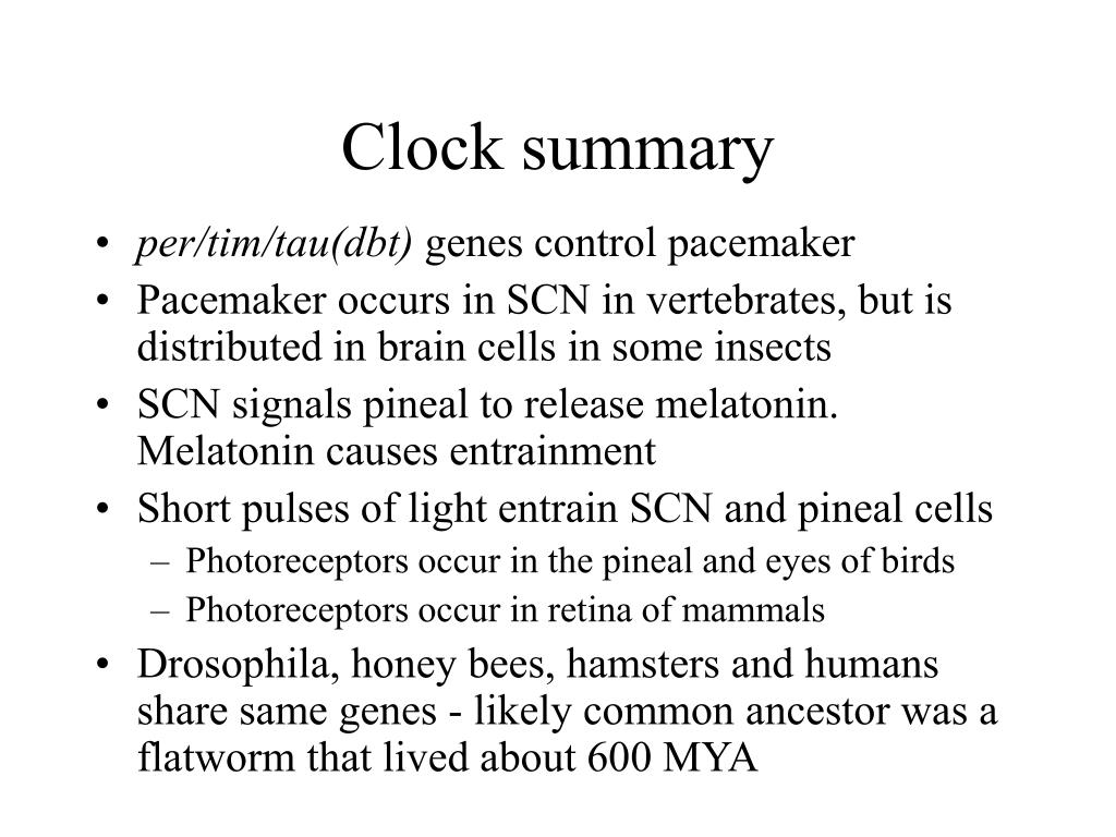 PPT Biological clocks PowerPoint Presentation, free download ID1066949