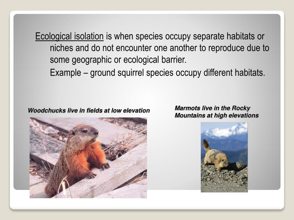 PPT Speciation PowerPoint Presentation, free download ID1067968