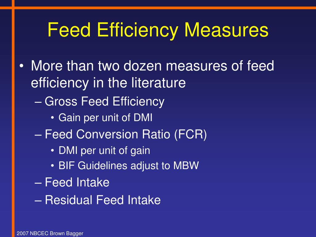 PPT Feed Efficiency in Bull Testing Programs PowerPoint Presentation