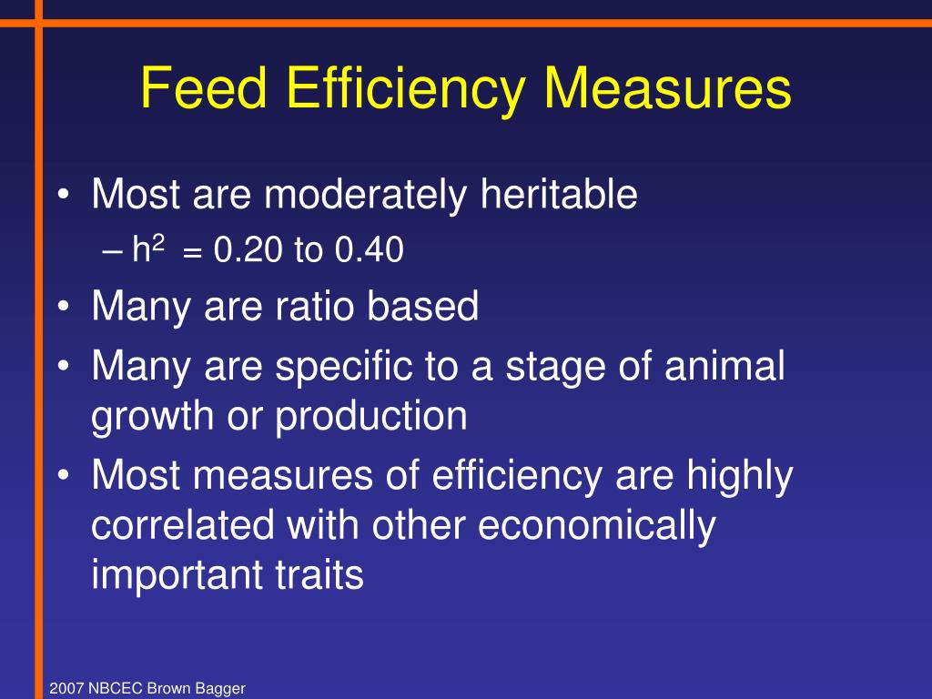 PPT Feed Efficiency in Bull Testing Programs PowerPoint Presentation