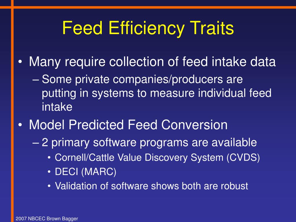 PPT Feed Efficiency in Bull Testing Programs PowerPoint Presentation