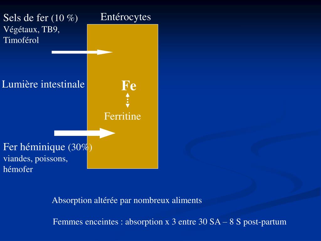 PPT Pourquoi fautil supplémenter les femmes enceintes