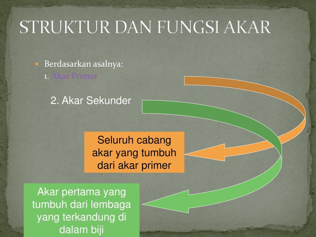 PPT ETTY LISMIATI PowerPoint Presentation, free download ID1076633
