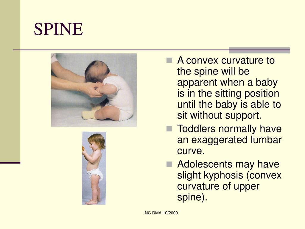 PPT SECTION 18 NORMAL PEDIATRIC GROWTH AND DEVELOPMENT PowerPoint