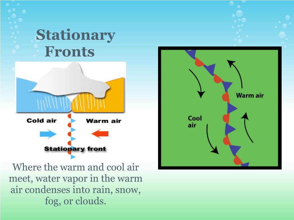 PPT The TEKS PowerPoint Presentation, free download ID1085362