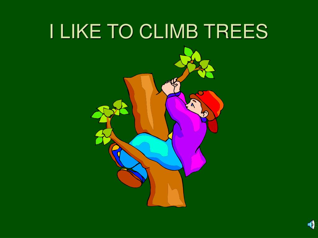 PPT TEXAS ESSENTIAL KNOWLEDGE AND SKILLS PowerPoint Presentation