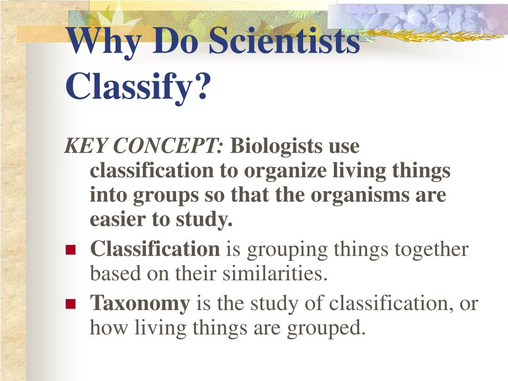 PPT Classification PowerPoint Presentation, free download ID1085474