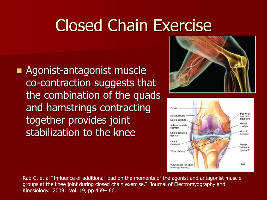 PPT Closed Chain Exercise and Knee Pathologies PowerPoint Presentation ID1088965