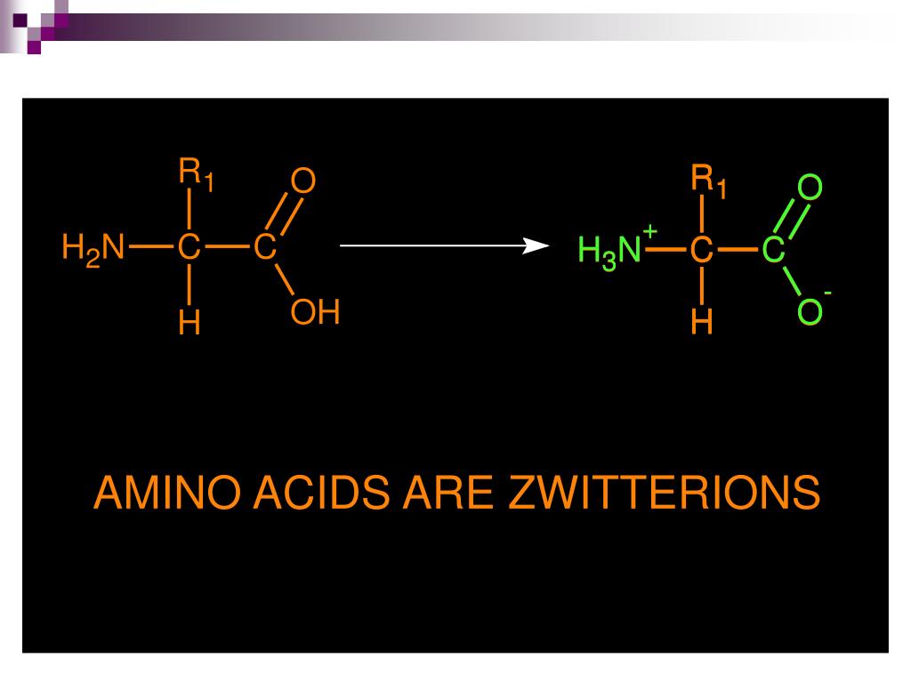 PPT Biochemistry PowerPoint Presentation, free download ID1089774