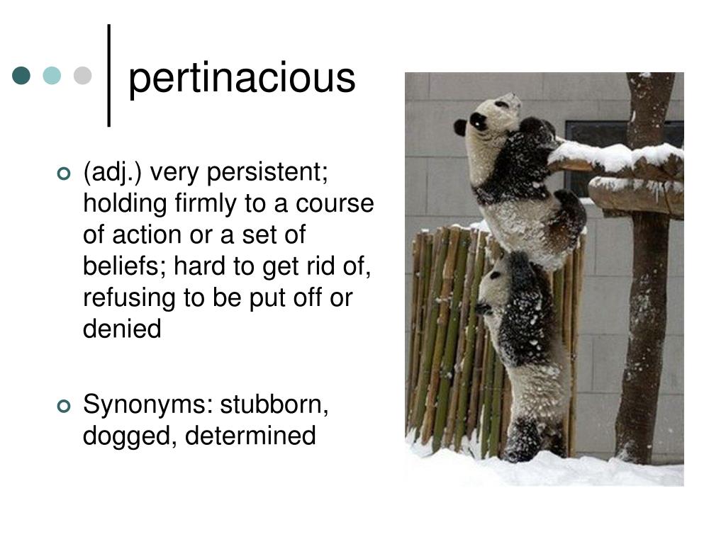 PPT English 111 PowerPoint Presentation, free download ID1090146