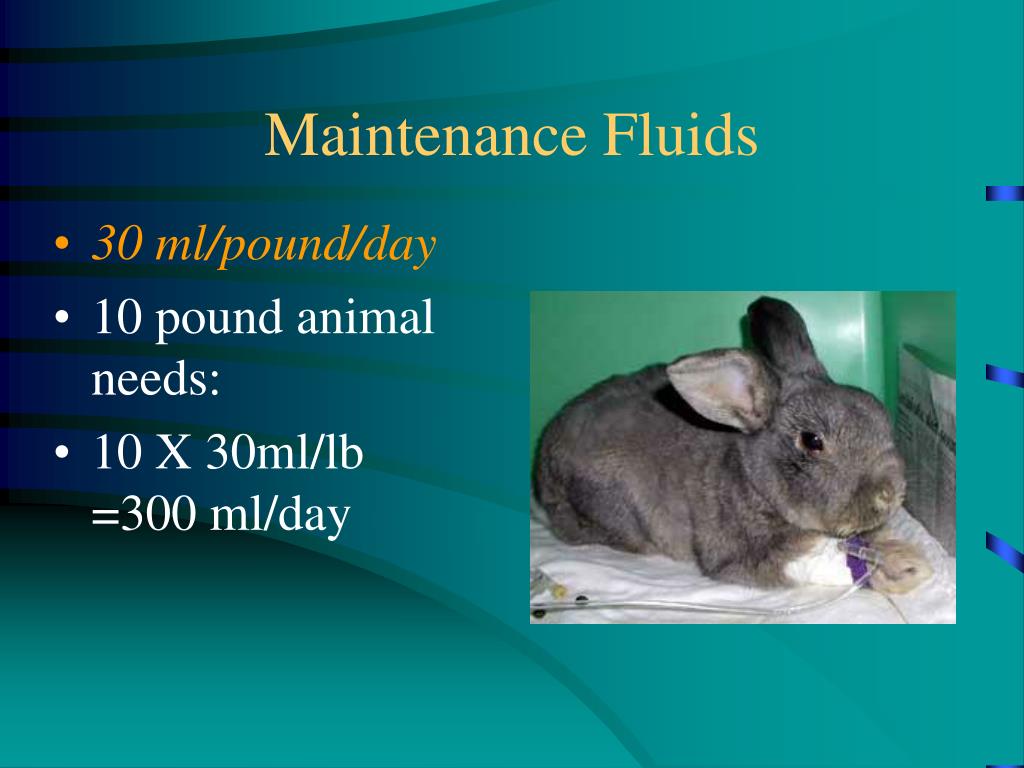 PPT Fluid Therapy PowerPoint Presentation, free download ID1092717