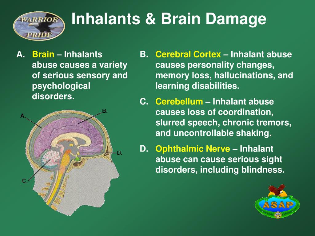 PPT Inhalants (Select Slide Show on the PowerPoint toolbar and then select Start Slide Show