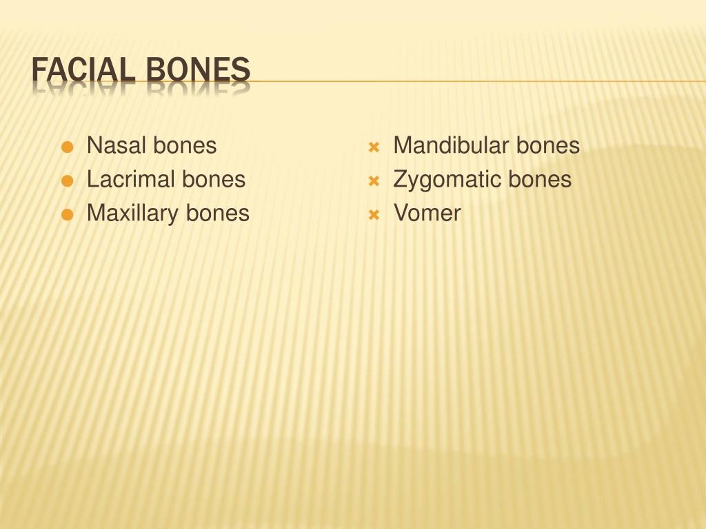 PPT The Language Of Medicine Dr. Michael P. Gillespie PowerPoint