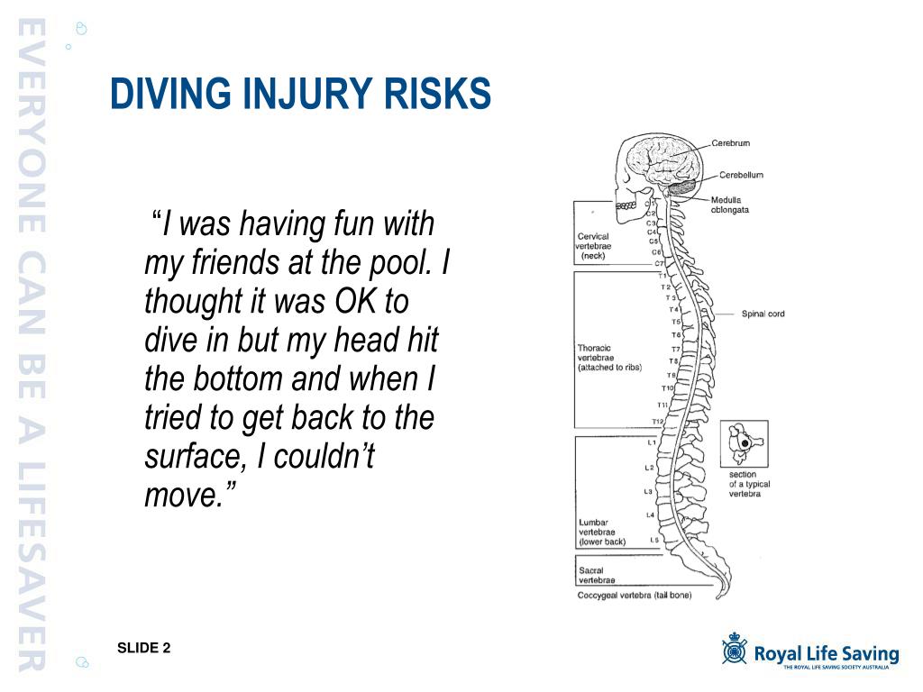 PPT Competitive Dive Starts Safe Water Entry PowerPoint Presentation