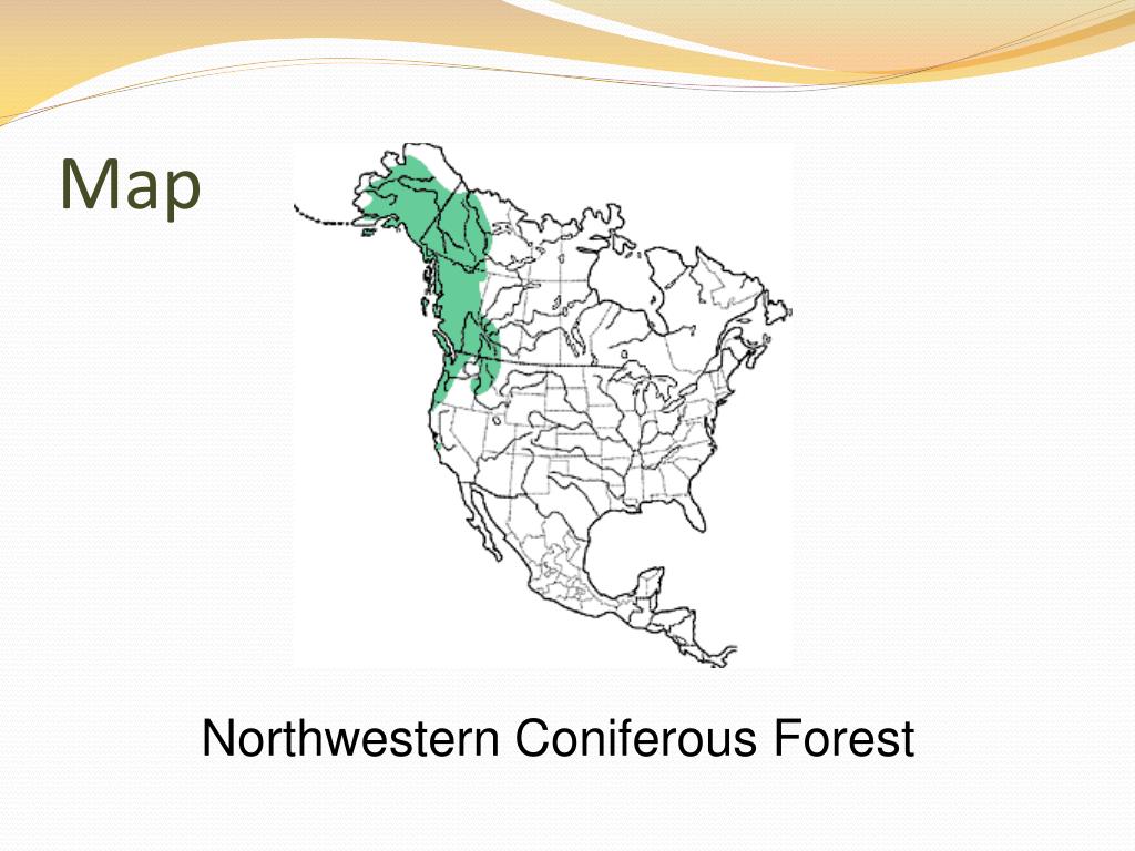 Boreal & temperate forests WWF Panda