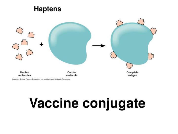 PPT Applied Immunology PowerPoint Presentation ID1101966