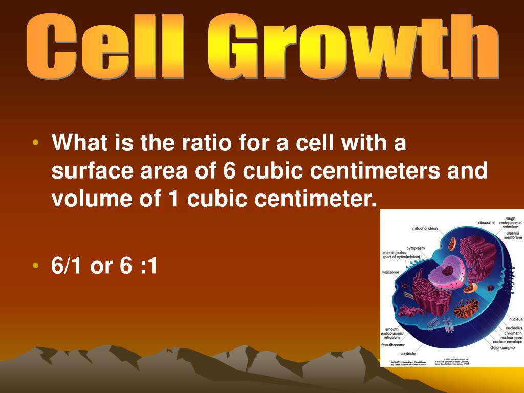 PPT Chapter 101 PowerPoint Presentation, free download ID1103011