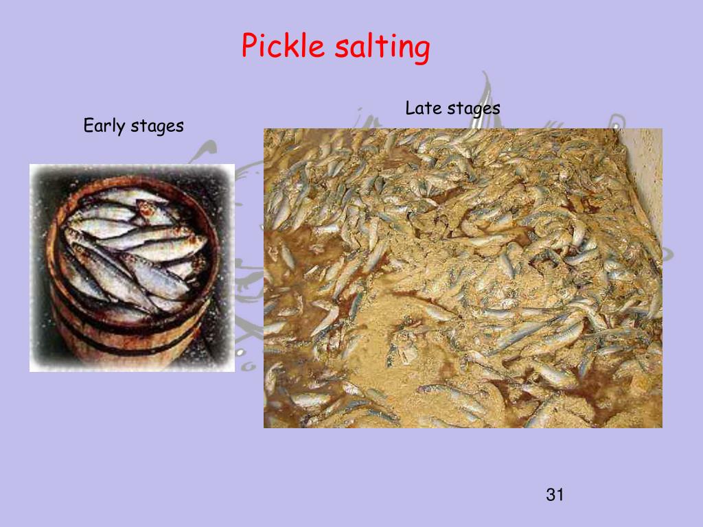 PPT Preservation of Fish and Aquatic Products II FSN 261 Spring 2011