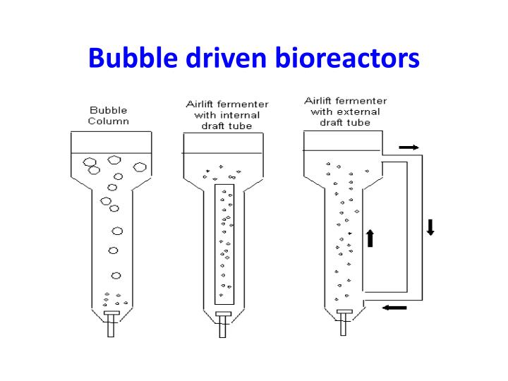 PPT What is a Fermenter? PowerPoint Presentation ID1105875