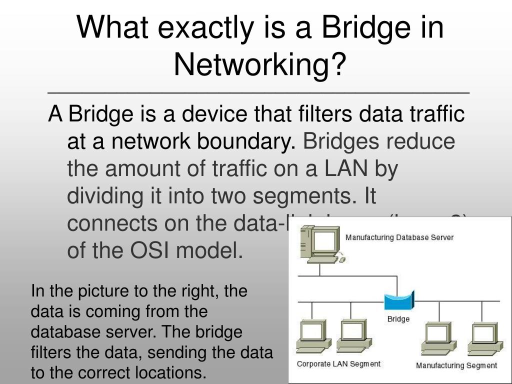 PPT Network Bridges and Routers PowerPoint Presentation, free
