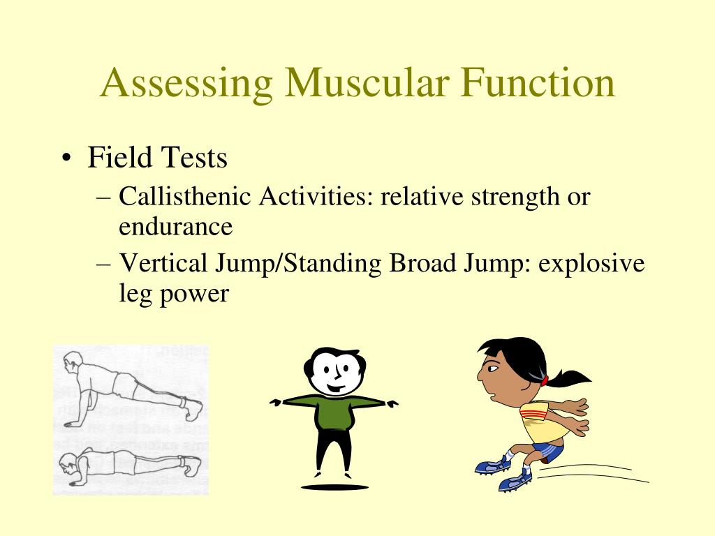 PPT Neuromuscular Training PowerPoint Presentation, free download