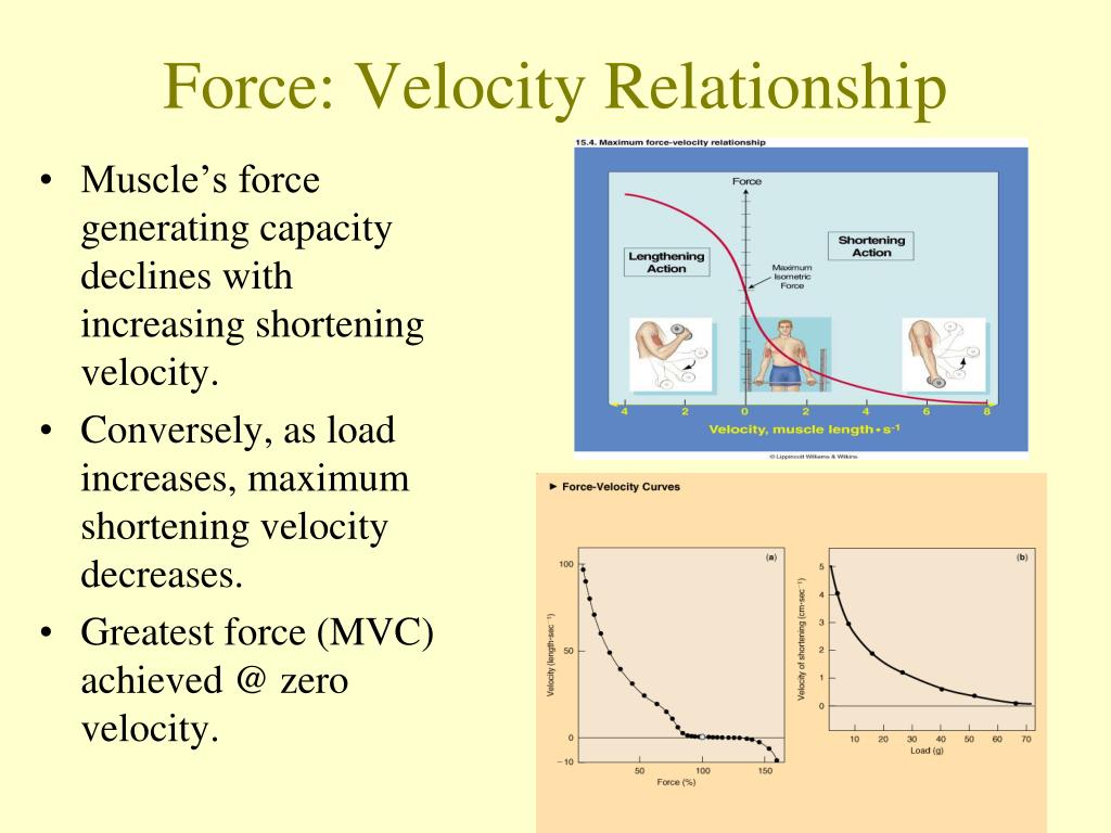 PPT Neuromuscular Training PowerPoint Presentation, free download