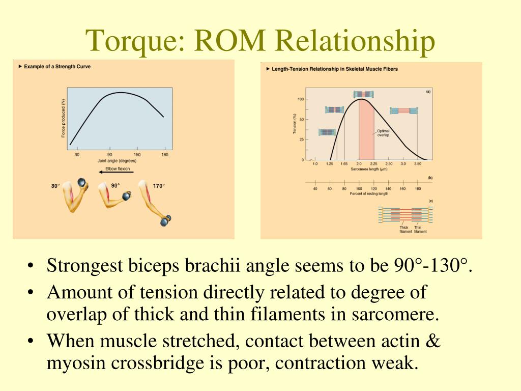 PPT Neuromuscular Training PowerPoint Presentation, free download