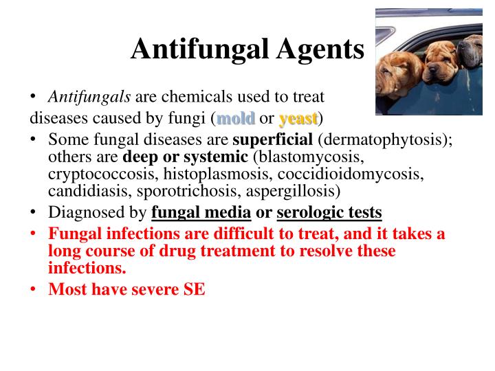 PPT Antimicrobials PowerPoint Presentation ID1107408