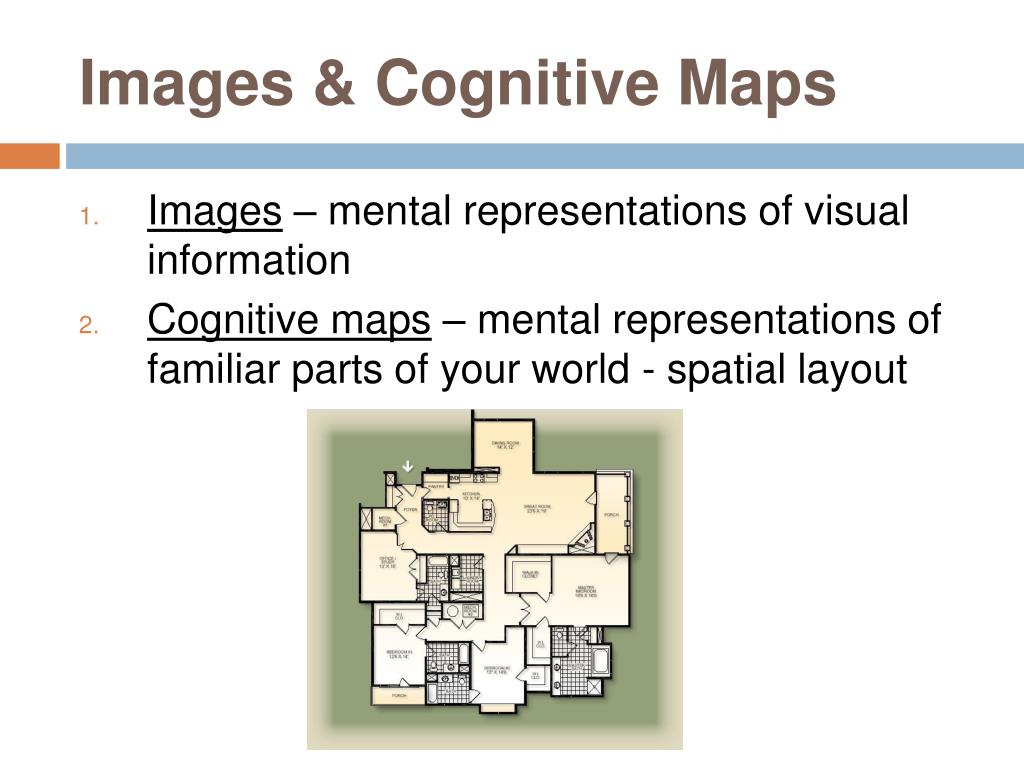PPT Cognition & Thought PowerPoint Presentation, free download ID