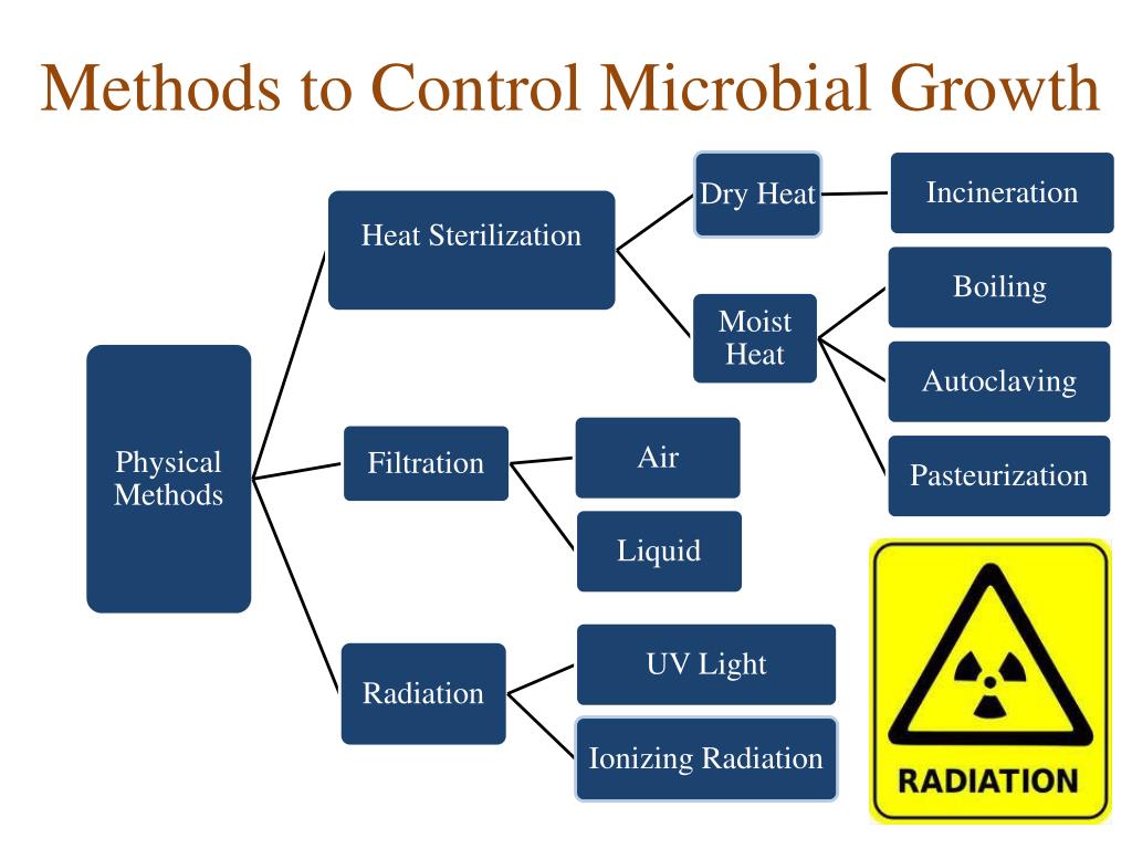 PPT Control of Microbial Growth PowerPoint Presentation, free
