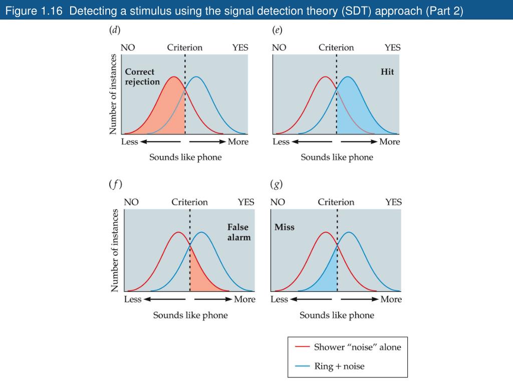 PPT Figure 1.16 Detecting a stimulus using the signal detection