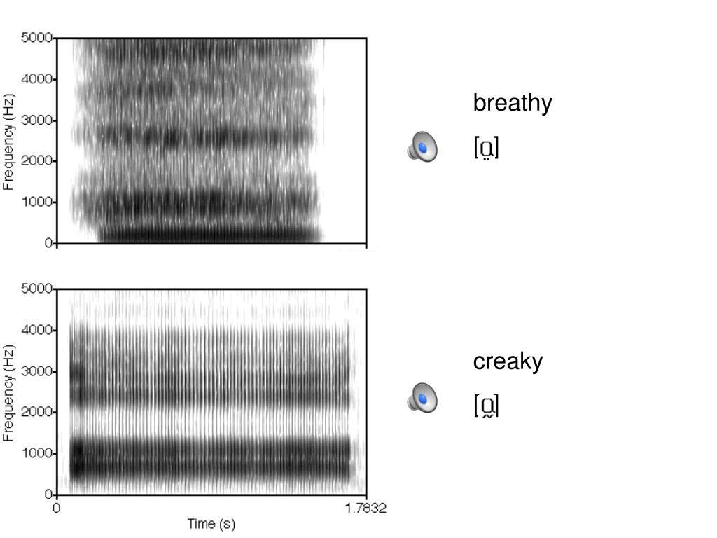 PPT Voice Onset Time + Voice Quality PowerPoint Presentation, free