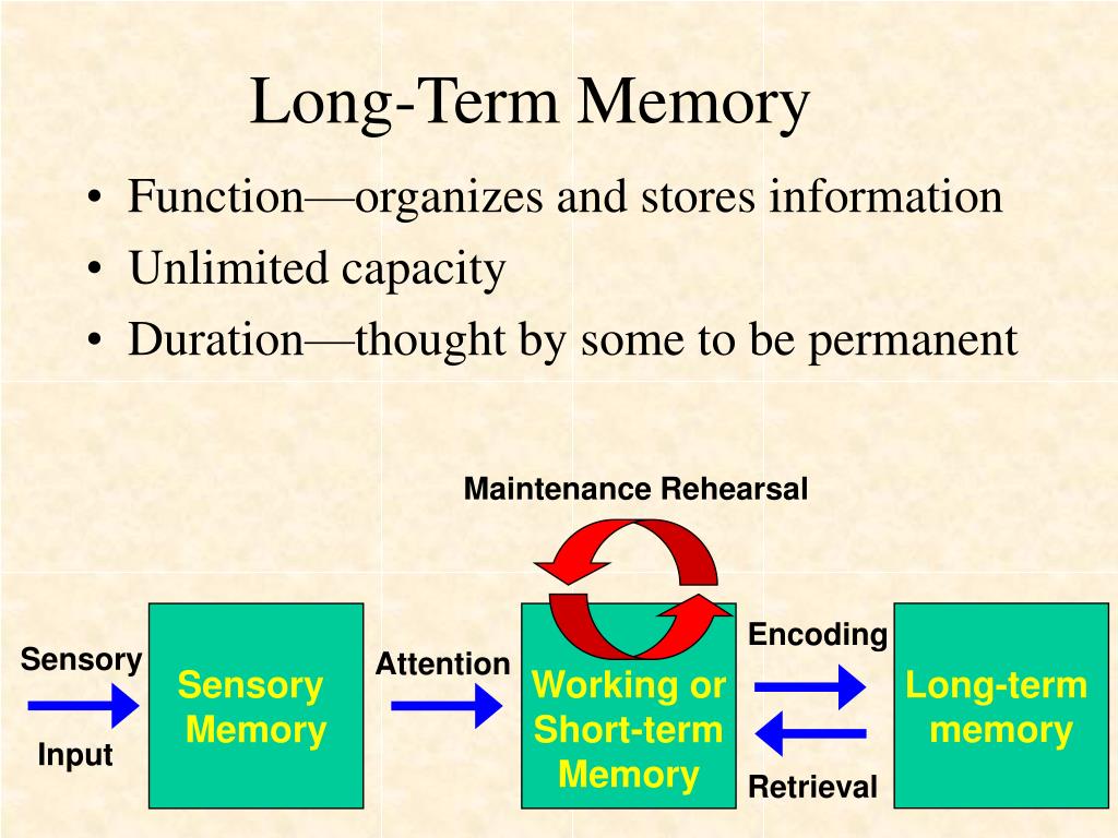 PPT Three Stages of Memory PowerPoint Presentation, free download