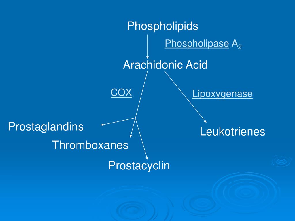 PPT NSAIDs in the ED Focus on Ibuprofen & Ketorolac PowerPoint