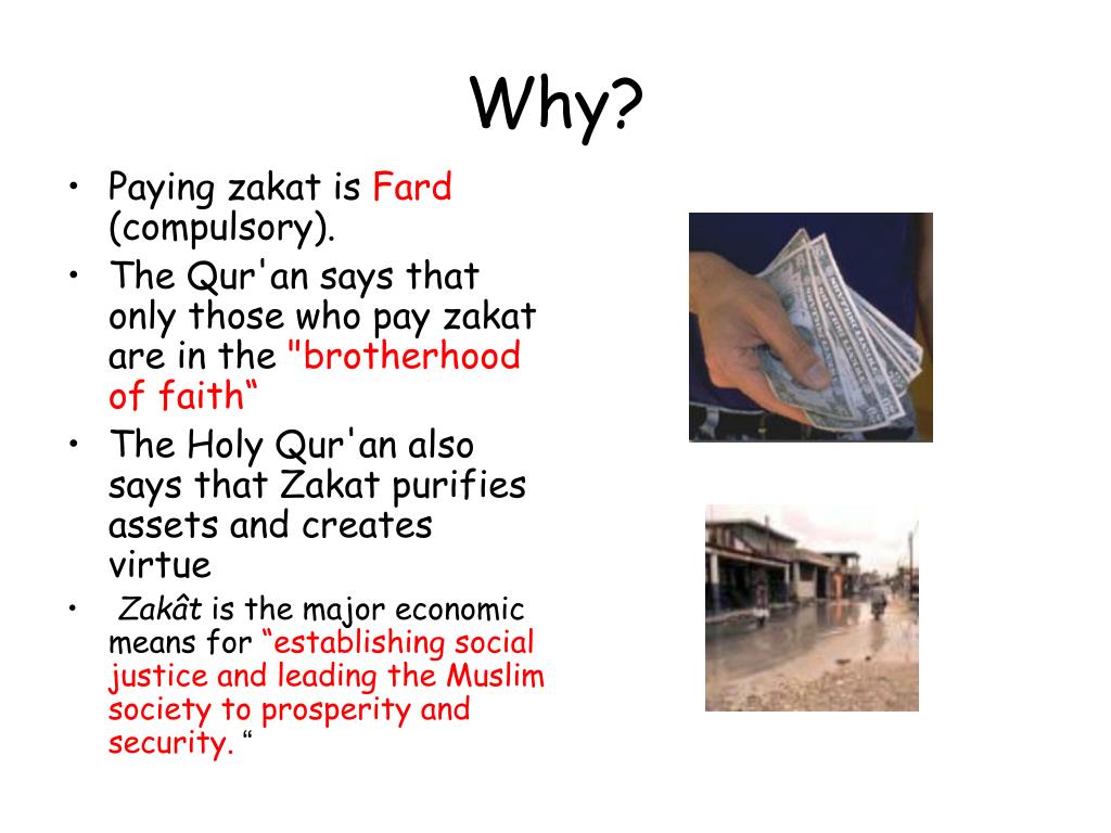 PPT Zakah PowerPoint Presentation, free download ID1119674