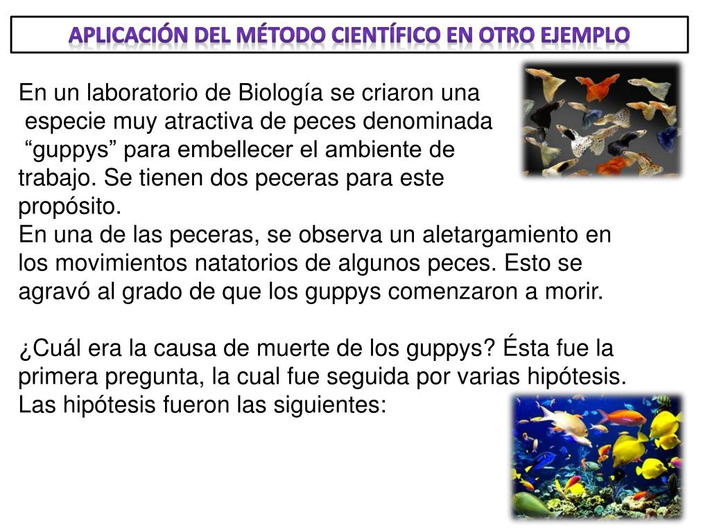 PPT EL MÉTODO CIENTÍFICO PowerPoint Presentation, free