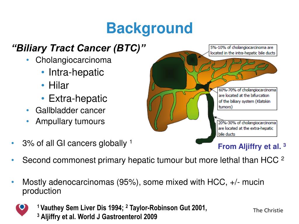 PPT Should patients with resected bile duct cancer receive an
