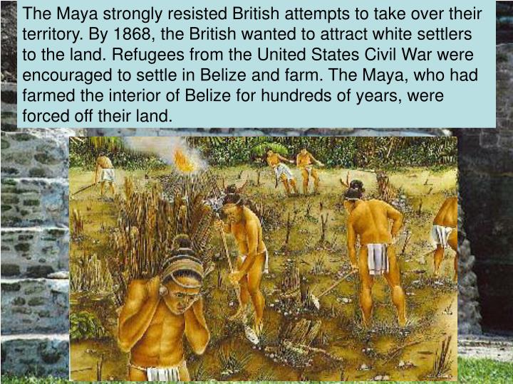 PPT HISTORY AND CULTURE OF BELIZE PowerPoint Presentation ID112285