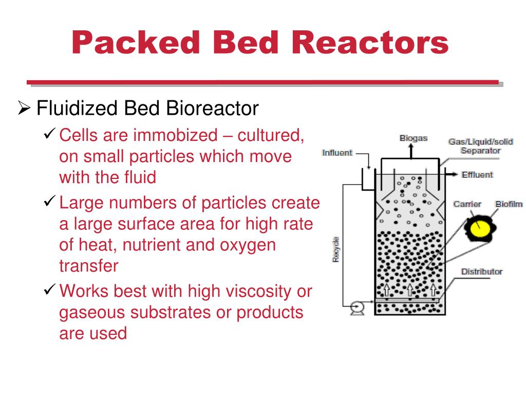 PPT Plant and Mammalian Tissue Culture PowerPoint Presentation, free