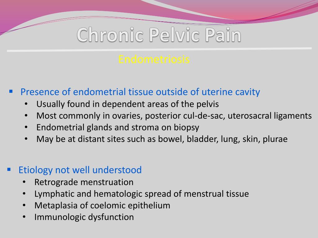 PPT Chronic Pelvic Pain PowerPoint Presentation, free download ID
