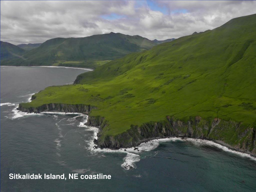 PPT 2010 VASCULAR PLANT SURVEY Kodiak National Wildlife Refuge Sitkalidak Island Old Harbor
