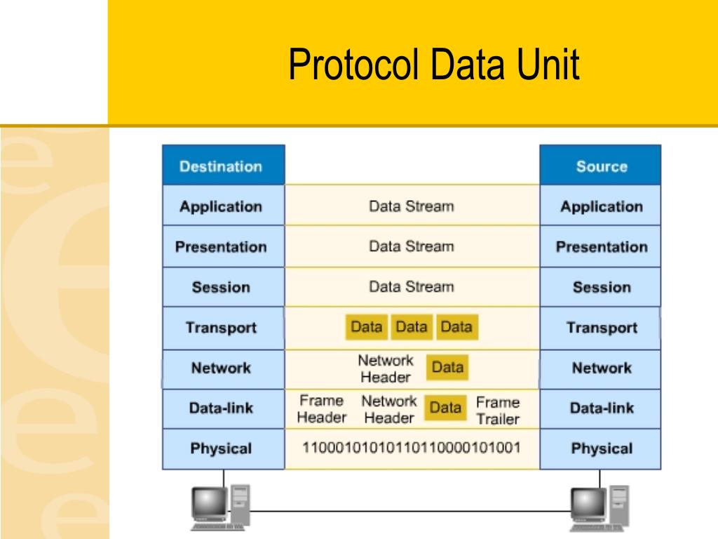 PPT Network Architecture & Standards PowerPoint Presentation ID1129195