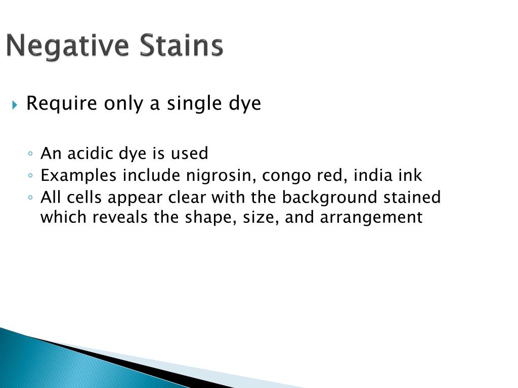 PPT Microbiology Tools PowerPoint Presentation, free download ID