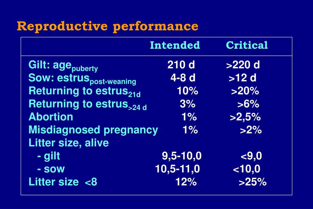 PPT Nutrition / environment related disorders in porcine reproduction
