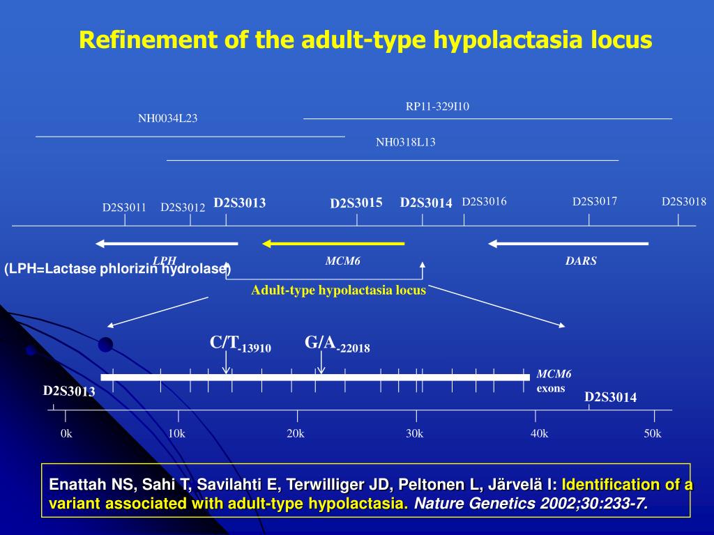 PPT of lactose intolerance PowerPoint Presentation, free